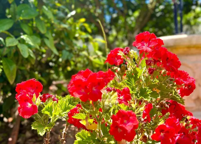 Villaferrel - Beach&waves فيريل